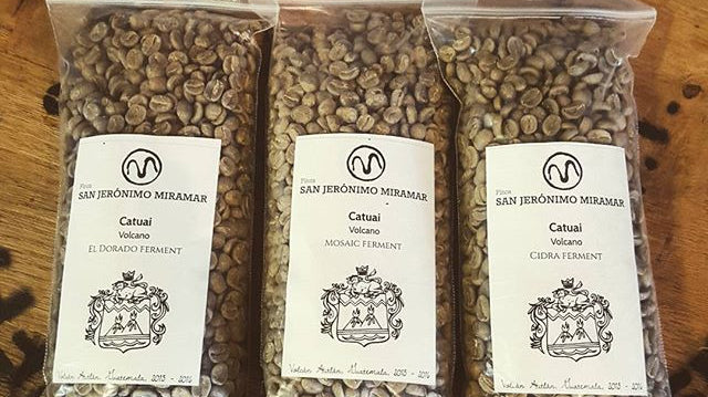 Hop Fermented Coffee