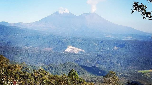 Coffee Sourcing 2017 - Finca San Jeronimo Miramar